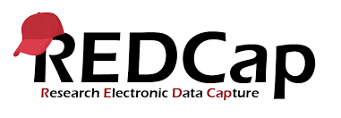 REDCap Research Electronic Data Capture System REDCap Research Electronic Data Capture System