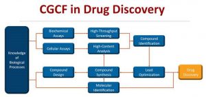 Flowchart of CGCF in drug discovery