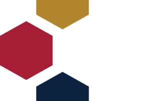 CTSI Icon