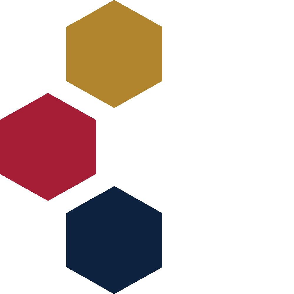 CTSI Icon