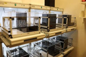 Behavioral phenotyping core 5