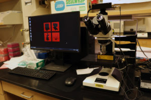 Proteomics core equipment