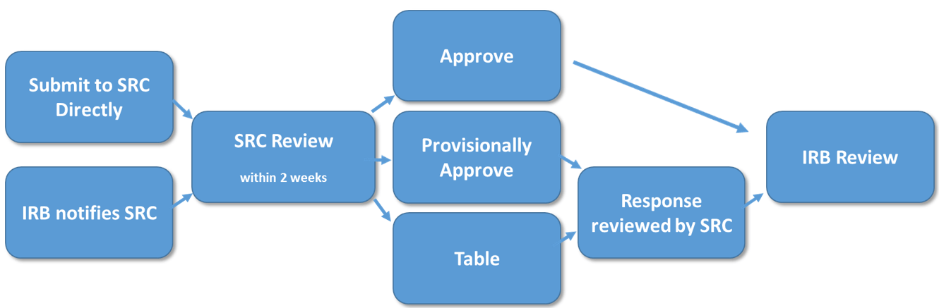 scientific-review-committee-diagram scientific review committee process diagram