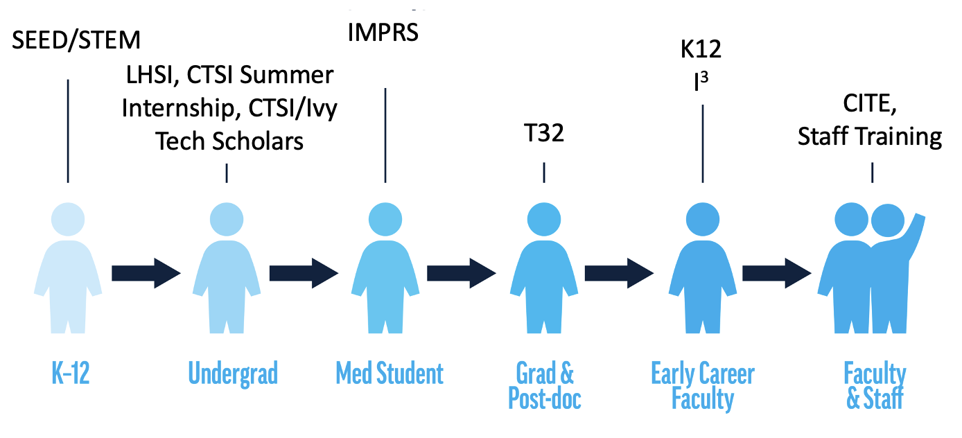 seed-stem-pipeline Education and workforce development process: k-12, undergrad, med student, grad and post-doc, early career, faculty and staff
